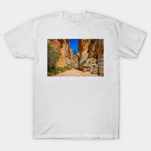 Lick Wash Trail Hike T-Shirt